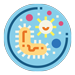 Microbiome Composition